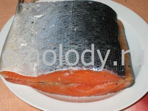 Salmon or lox salted at home