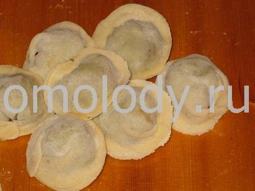 Pelmeni with meat and dill, with cabbage