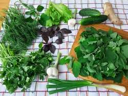 Салат с лебедой, зеленым луком, имбирем и свежими огурцами