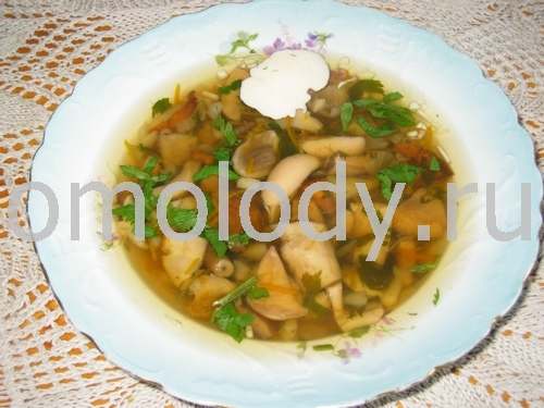 Mushrooms greenery soup
