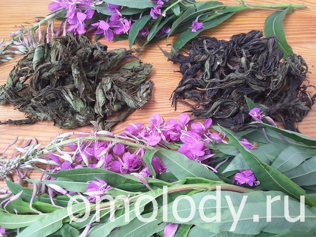 Чай из Кипрея, чай из листьев иван-чая
