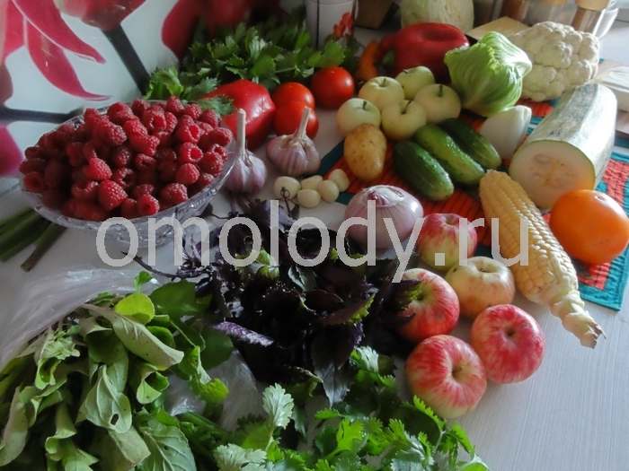 Mushroom Salad with vegetables