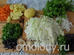 Овощное рагу, тушеные овощи с лебедой, мокрицей и грибами